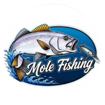 Logo Mole Fishing